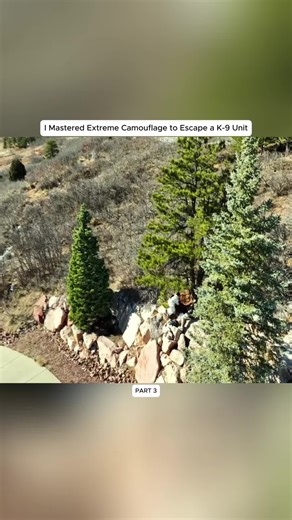 I Mastered Extreme Camouflage to Escape a K-9 Unit #camouflage #k9unit #escapechallenge #experiment #survival