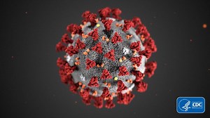 How did coronavirus get its name?