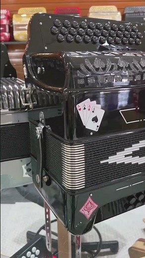 Best Value Accordions of 2025! (All Under $3,000)