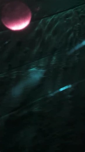 Finding Nemo Ride #disneyland