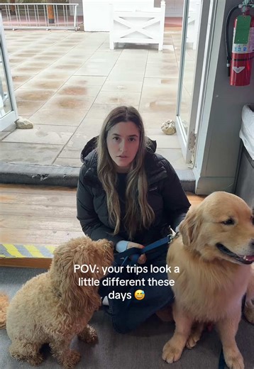Adult-Only Vacation Planning: A Comedic Insight