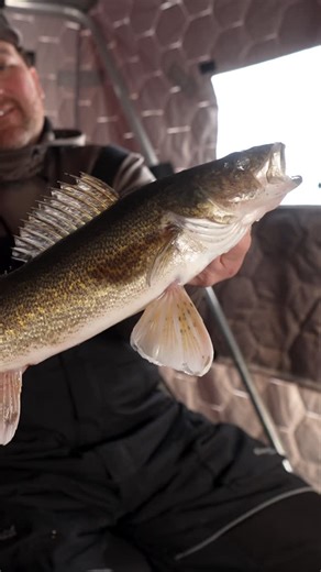 Jason Mitchell on Instagram: "Turn key walleye fishing on Lake of the Woods this Sunday on JMO Television. We based out of @sw_low218 Ship’s Wheel Resort and also tried out the Twin Island Sleepers for a fun week of ice fishing. This is a top destination experience if you have a crew that wants to fish hard regardless of your experience level or what you have for equipment. Watch on FanDuel Sports North on Sunday at 9:00 am. #jasonmitchelloutdoors #walleye #walleyefishing #icefishing #icefish #l