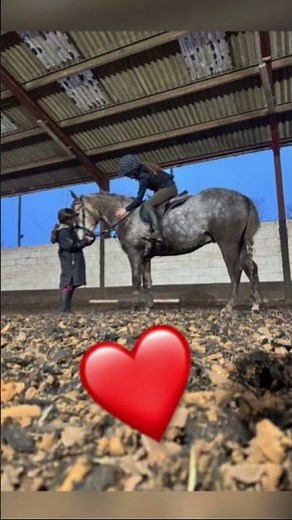 Java a very random edit x