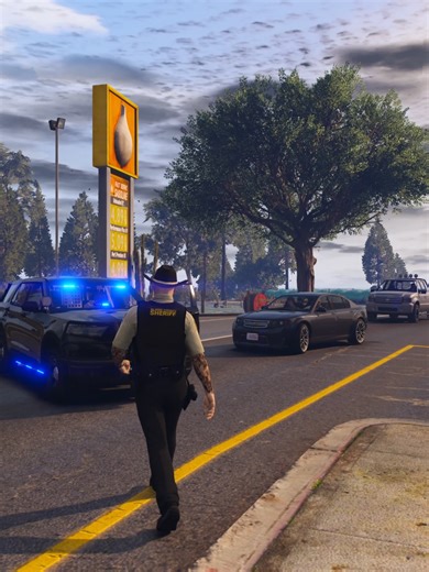 Traffic Stop Backup #gta5rp #lspdfr #leorp #lsdpfrgta5 #trafficstop | police car simulator