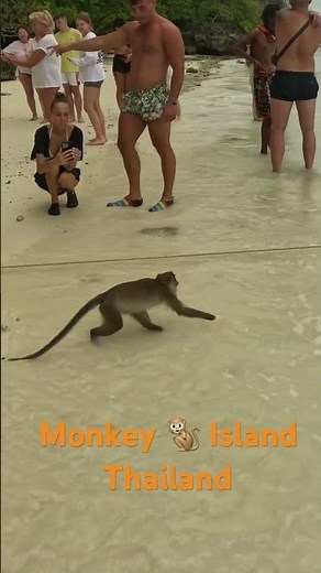 Monkey Island, Phuket Thailand
