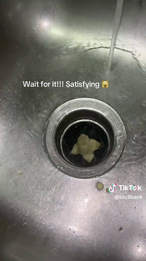 ディスポーザー掃除のコツとハウツー
