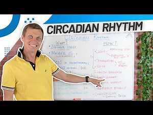 How to Reset Your Circadian Rhythm – 6 Practical Tips for Better Sleep
