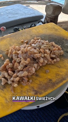 36K views · 463 reactions | świetna przygoda, polecam każdemu | Gradu Fishing | Facebook