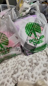 1.4K reactions · 30 shares | RING LIGHT REVIEW from Dollar Tree - does it work? #dollartree #dollartreefinds #dollartreereviews #ringlight #office #home #influencer #blogger #foryou #foryoupage #reviews | Maria Sandoval | Facebook