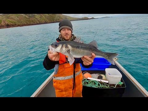 Commercial Bass Fishing with Lures - Catch & Cook Wild Caught Sea Bass