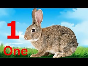 12345678910 | Learn Numbers With Phonic Song | NB Arts