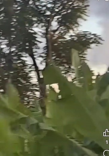 Trinidad. | Dominica Breaking News