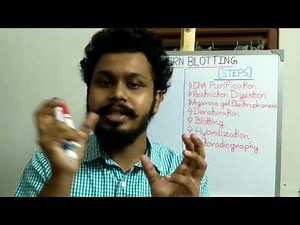 Southern Blotting | Southern hybridization | Determination of specific DNA sequence |