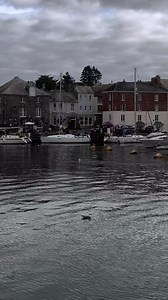 22K views · 541 reactions | Padstow Harbour Cornwall | Cornwall, the lizard peninsula and more | Facebook