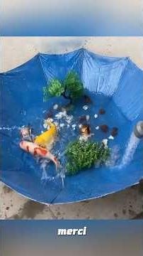 Découvrez comment cet étang magnifique a été créé#shorts