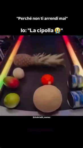 Shahria Memez on Instagram: "Se una cipolla non si arrende per che lo devo fare io ?. Core motivazione. . . . #viral #fyp #reels #instagram"