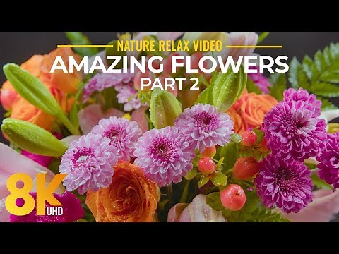 Amazing Flowers - 8K Ultra HD Relax Video with Gentle Piano Music - Part #2 - Short Version