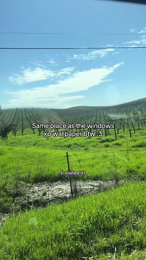 Exploring the Windows XP Wallpaper Location