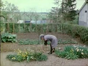 Die Arbeit der Bandwirker im Bergischen Land - 2. Weben von bunten Bändern