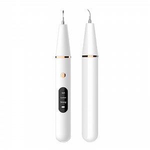 [Hot Item] Ultrasonic Home Portable Gum Care Smoke Stains Dental Calculus Charged Electric Toothbrush