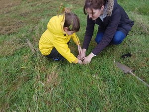 Saving Devon's Treescapes | Devon Wildlife Trust