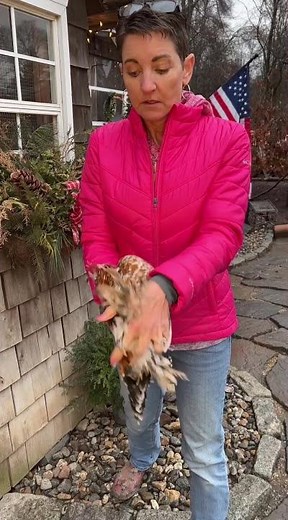 How to Hold Any Chicken Correctly