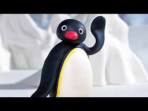 Noot Noot Penguin l 1 Hour Limited Edition
