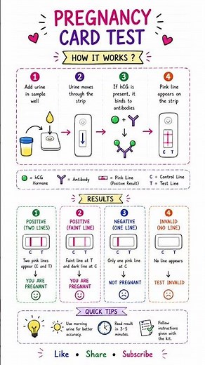 Pregnancy Test Kit Result Explained Step by Step