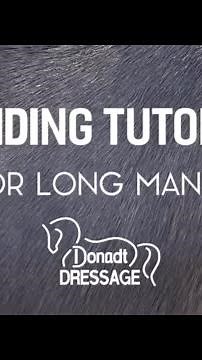 Donadt Dressage Braiding Tutorial For Long Manes #horse #equestrian