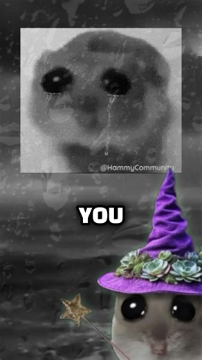 Incredibly Sad Rapping Hamster: A Unique Poem