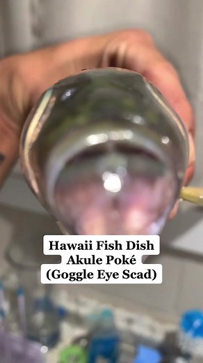 Hobie Lanai Kayak Review: Ultimate Fishing Adventure