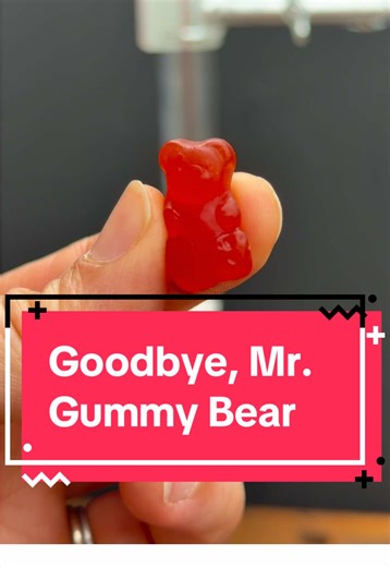 Yes, the combustion of sugar does smell like s’mores. No, you cannot eat this. ☠️ When KClO3 is heated, it decomposes into KCl and O2. The O2 readily reacts with the sucrose in the gummy bear, converting it into carbon dioxide and water. The excess carbon creates some of the black gunk you see in the bottom of this test tube. The rest is the potassium chloride (the reason for the purple colored flames). #coolchemistry #combustionreaction #backyardexperiment #apchemistry #chemwithcorinne