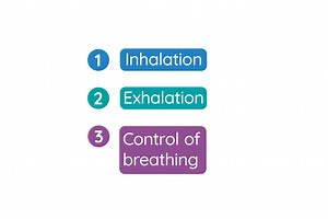 Inhalation, Exhalation, & Control of Breathing | LC Biology