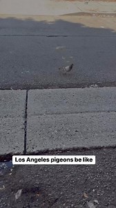 Johnny James on Reels