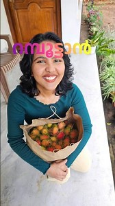 Rambutan | Fruit | Vlog | Food Vlog