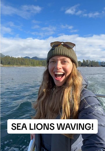 Understanding Stellar Sea Lions' Flipper Behavior