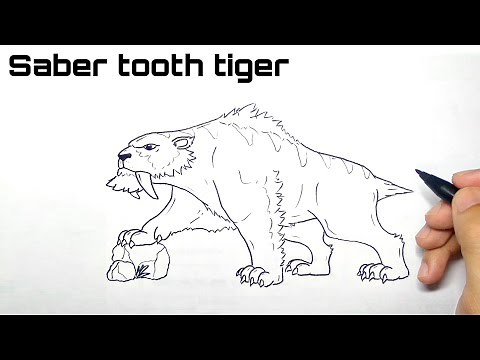 How to draw a saber tooth tiger easy