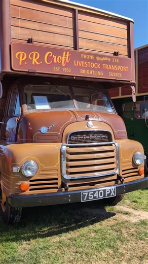 Bedford S Type vintage cattle lorry #bedford #cattletrucks #lorry #cattlelorry #бургер
