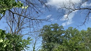 163 seconds at the highest point traversed by troops at Gettysburg! | American Battlefield Trust
