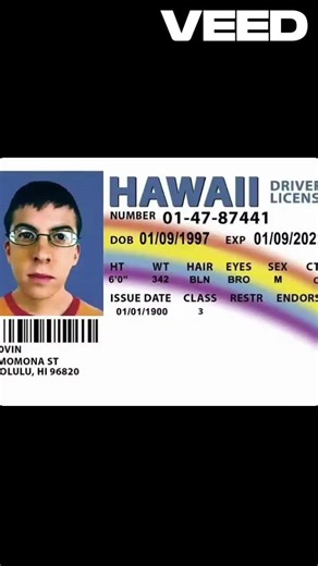 McLovin's Driving Licence For Roblox Verification (Free Voice Chat and age check verification)
