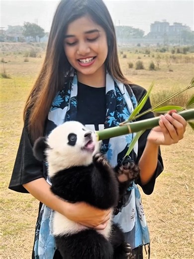 জেরিনের পান্ডা চলে যাওয়ার দুঃখ