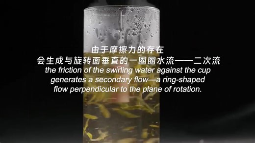🎬 The "Magic" of Stirring Tea: The Tea Leaf Paradox ☕️ Stir your tea and watch closely. Leaves on the surface move toward the edge, while the ones at the bottom gather in the center. Why? The tea near the cup's bottom moves slower, creating a gentle circulation that carries the leaves inward — a surprising physics trick in your cup! 🍃✨ Next time you stir, take a closer look. Science is swirling in your cup! #CAS #IOP #TeaLeafParadox #EverydayPhysics #MiniWonder #DidYouKnow #FunWithScience | Ch