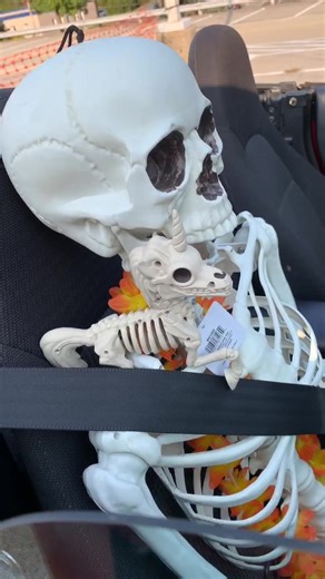 Creative Name Ideas for Your New Skeleton Buddy