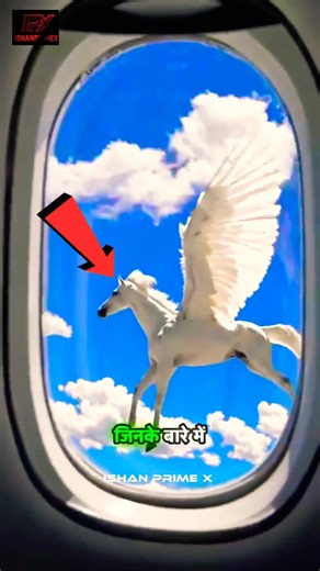 Top 5 Most Beautiful White Animals in the World | Rare & Stunning Creatures 🐾🤍 #ytshorts