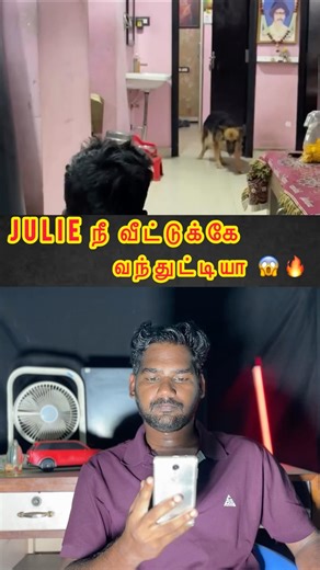 Julie, are you home 😱😂🔥#shorts #shortsfeed #tvk #dmk #julie #admk #seeman #vijay
