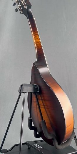 Collings MT Mandolin
