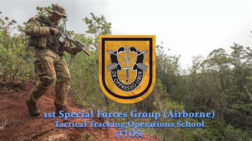 405K views · 7.2K reactions | Taking a Walk on the Wild Side Green...