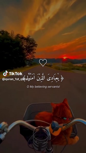 Beautiful Quran Recitation by Abdul Rahman Masoud