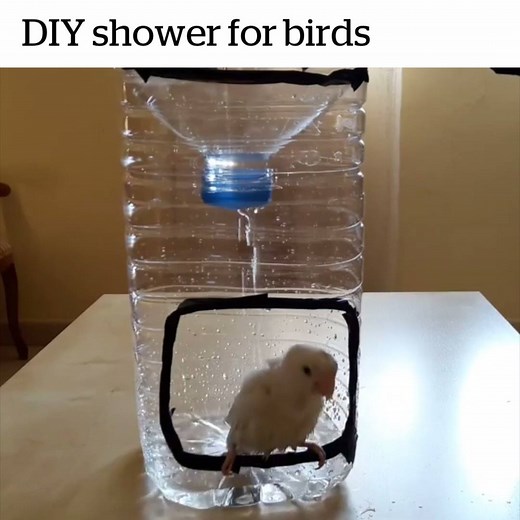 1.4M views · 2.3K reactions | This homemade bird bath is such a cute idea!  | VT | Facebook