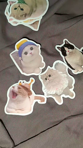 Adorable Cat Stickers for Cat Lovers